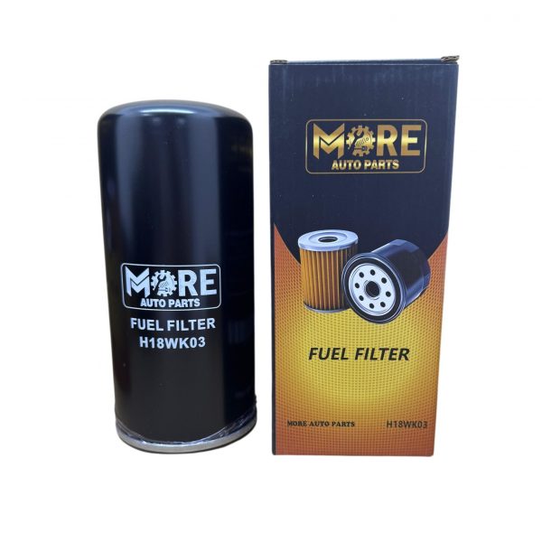 MORE FUEL FILTER 8193841